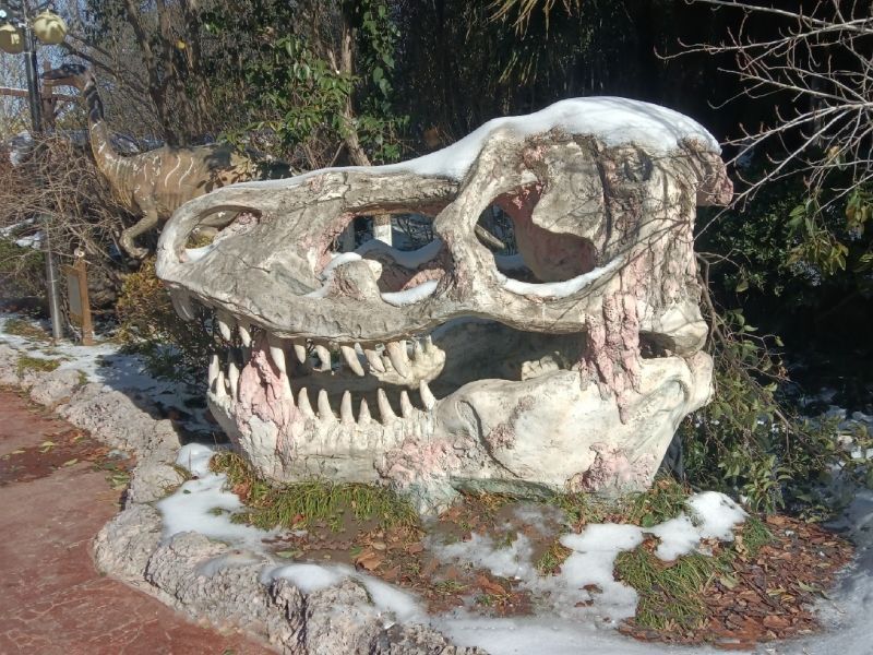 Dino Skeleton T-Rex Head Theme Park