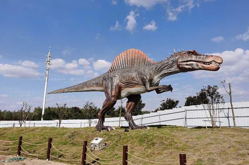 Dinosaur products from the Chicago Zoo in the United States