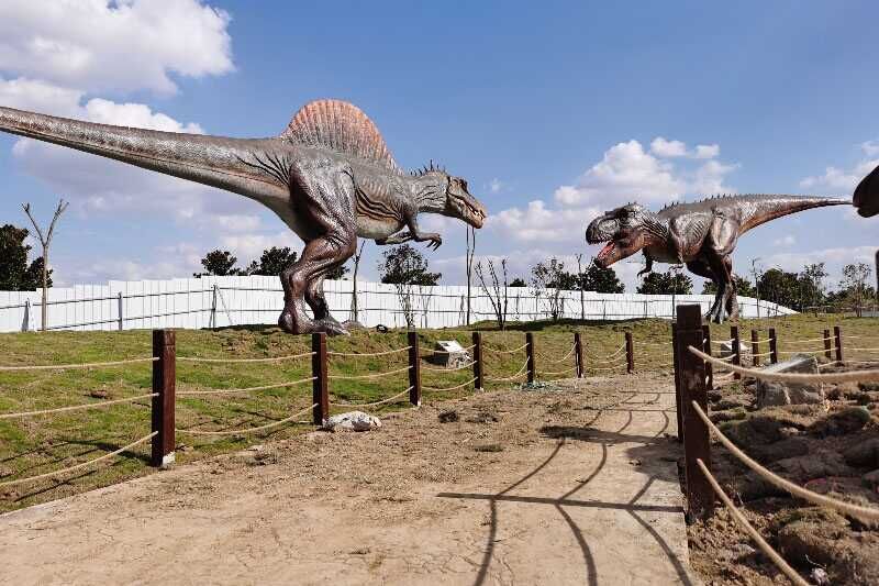 Dinosaur products from the Chicago Zoo in the United States