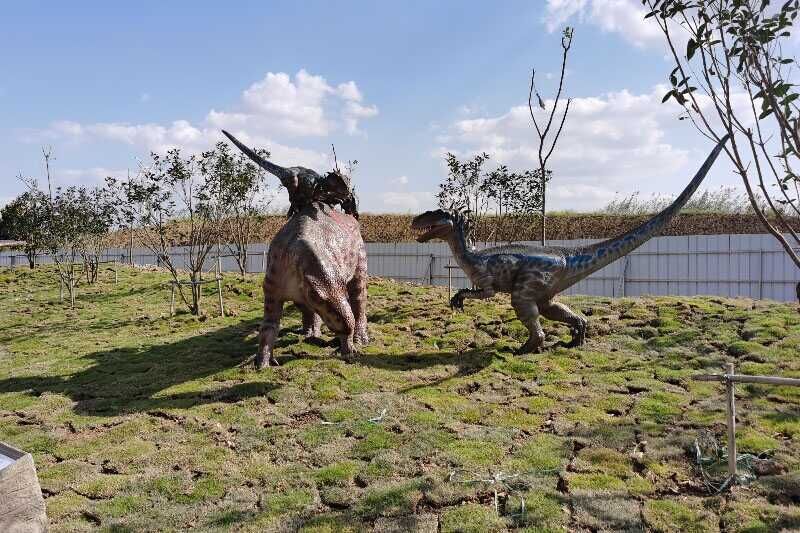 Dinosaur products from the Seattle Zoo in the United States