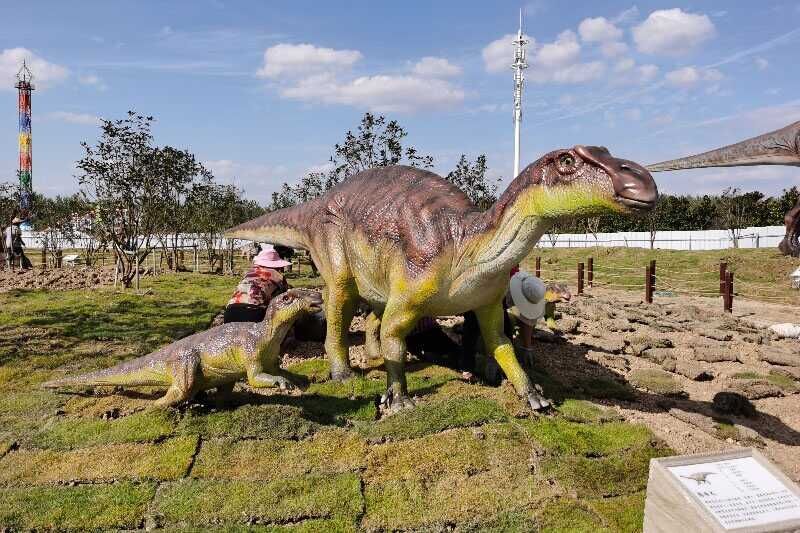 Dinosaur products from the Seattle Zoo in the United States