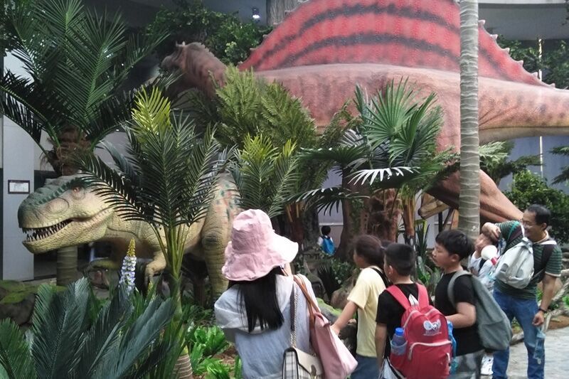 Washington Zoo at the Dinosaur Exhibition in the United States