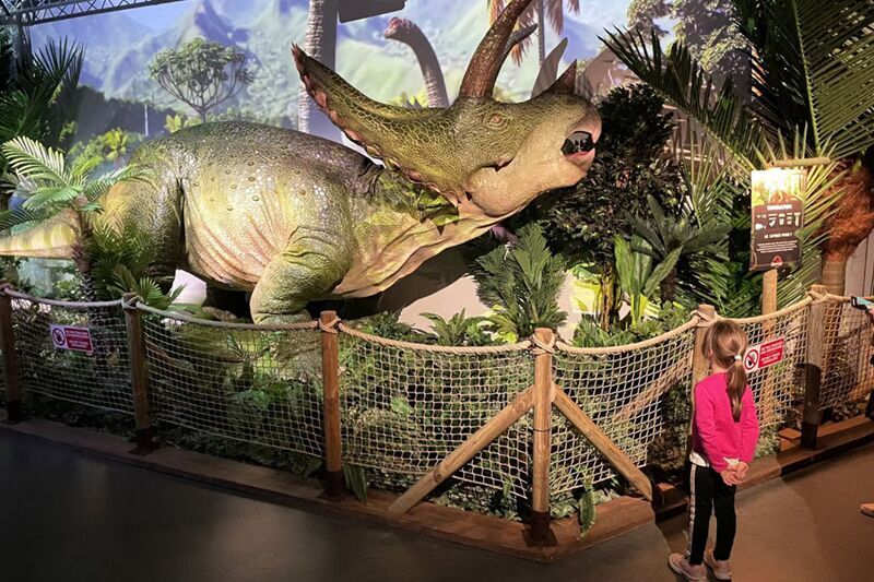 Washington Zoo at the Dinosaur Exhibition in the United States