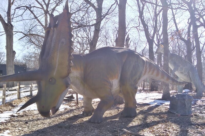 The Vancouver Science and Technology Museum in Canada provides dinosaur products