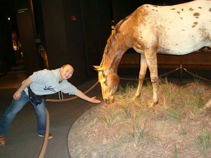 USA Saint Louis Museum Simulated Animal Exhibiton