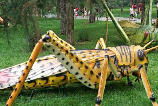 Animatronic Insect For Botanical Garden