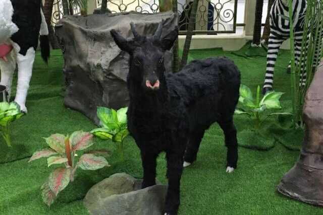 Animatronic Animal-Dairy Cow Indoor Children Park