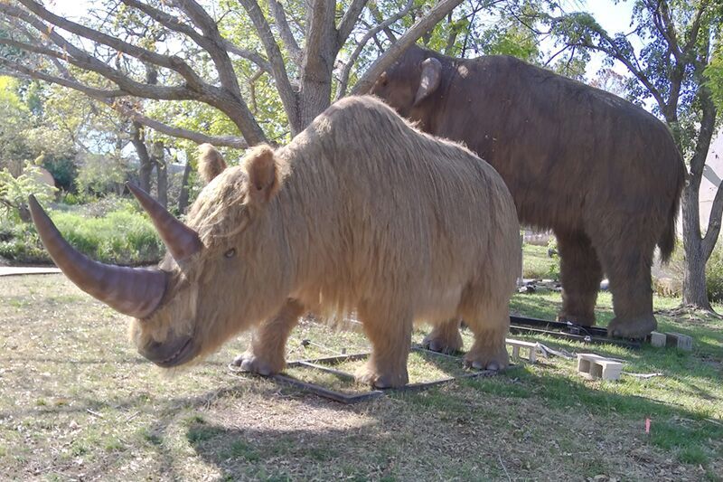 Animatronic Animal,rhino