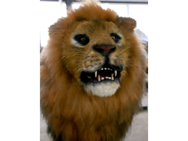 Animatronic Animal Lion Model