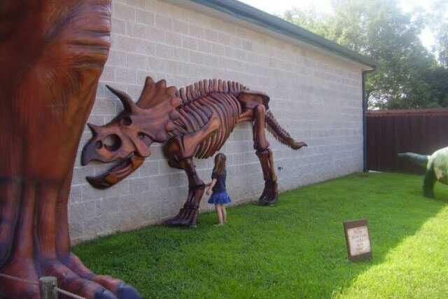 Dinosaur Skeleton For Museum