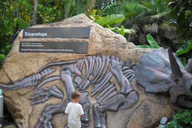 Dinosaur Skeleton For Museum