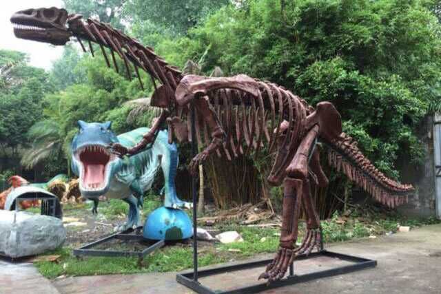 T-rex Skeleton For Museum