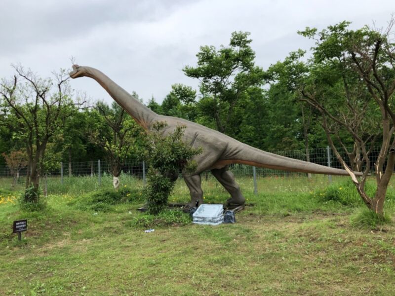 Theme Park Animatronic Exhibits Dinosaur