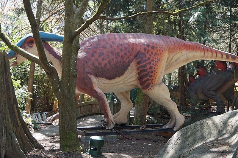 Life Size Animatronic Dinosaur Parasaurolophus Zoo