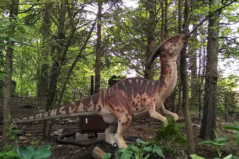 Life Size Animatronic Dinosaur Parasaurolophus Zoo