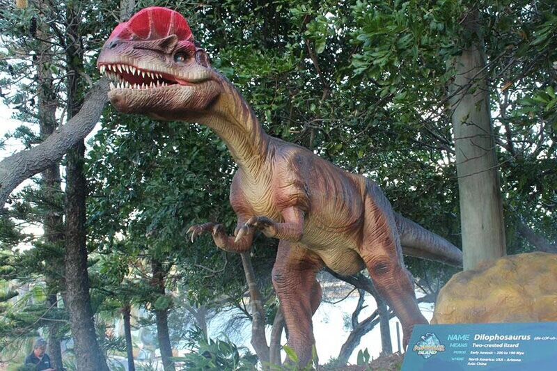 Animatronic Dinosaur Park