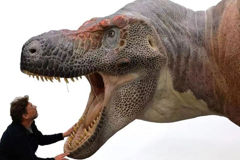 Animatronic Dinosaur T-Rex Model