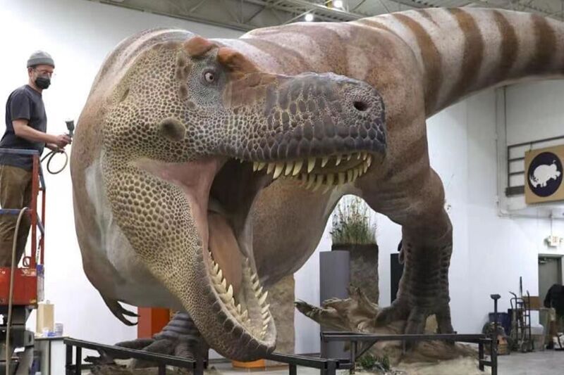 Animatronic Dinosaur T-Rex Model