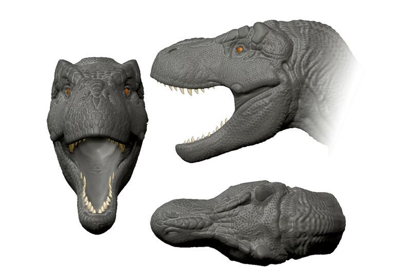 Animatronic Dinosaur T-Rex Head Model