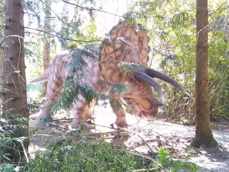 Animatronic Dinosaur Park