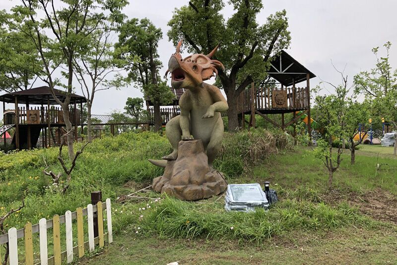 Dino Real Time Filming Exhibition Scenery