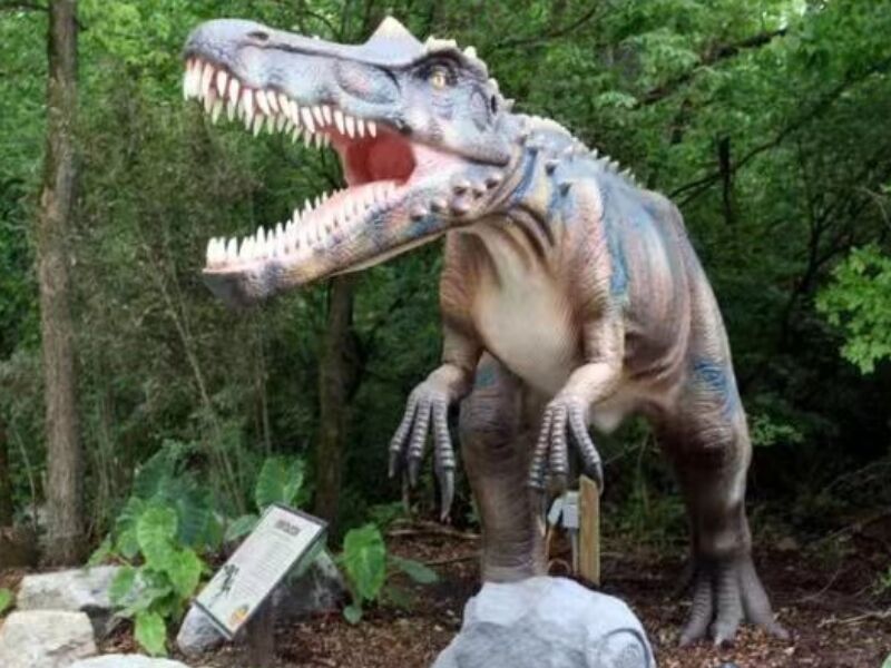 Animatronic Dinosaur Park