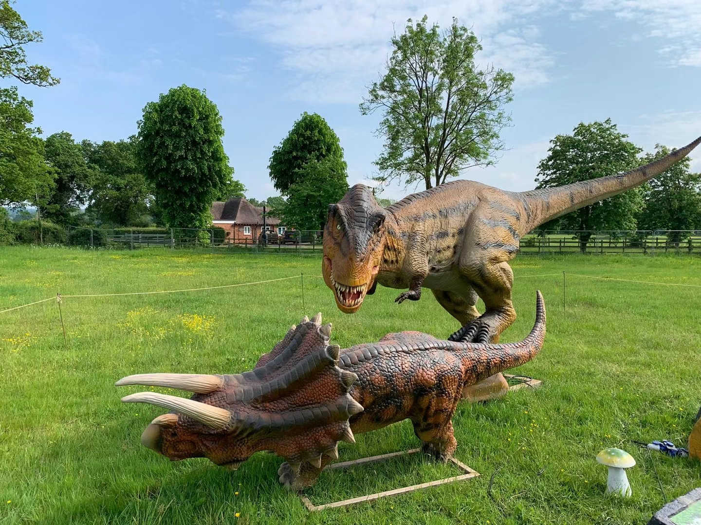 Jan.2023 UK Lifesize Animatronic Dinosaurs Animals Exhibits  